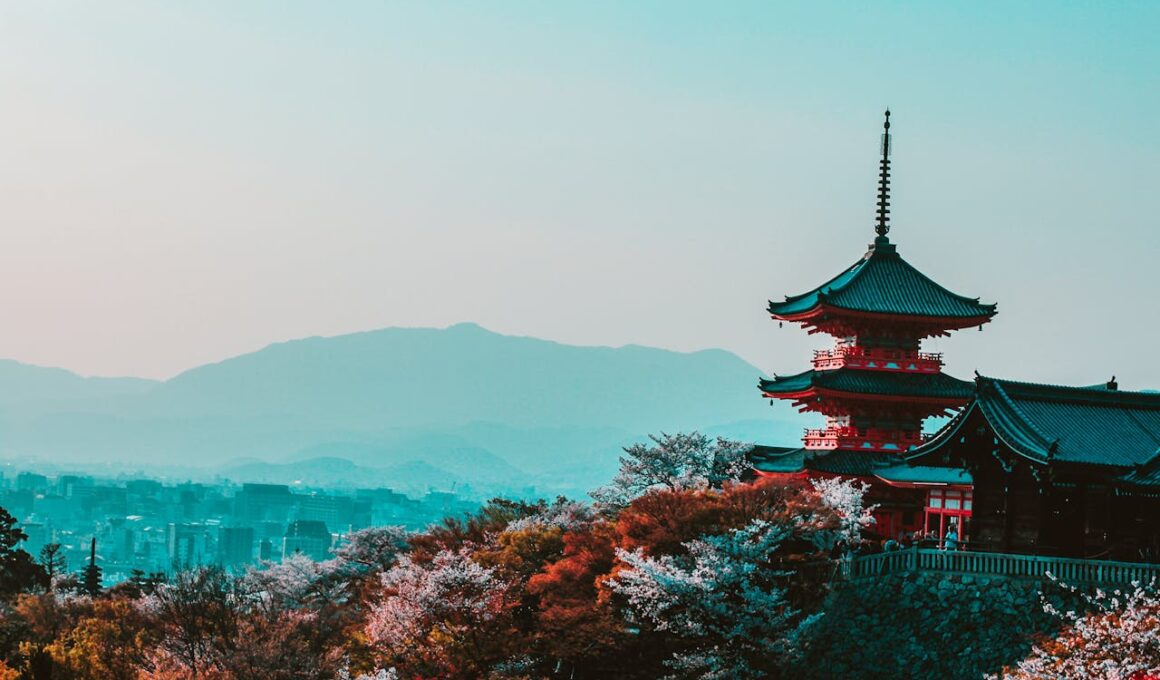 Reis naar Japan kosten: wat betaal je echt voor een rondreis?